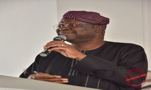 Prof. Olu Lafe Photo