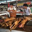 Dog Meat Photo