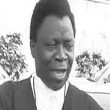 Olu Onagoruwa photo