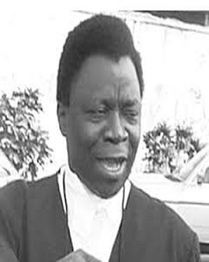 Olu Onagoruwa photo