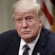 Donald Trump Photo