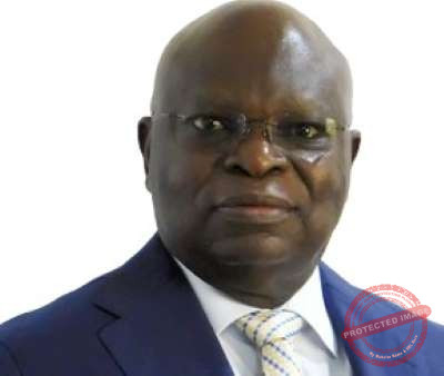 Dr. Olusegun Aina Photo