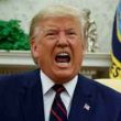 Donald Trump Photo