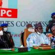 APC Photo