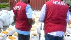 the arrest of 262 suspected drug traffickers and seizure of 15,253.82kg of narcotics photo