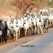 herdsmen Photo