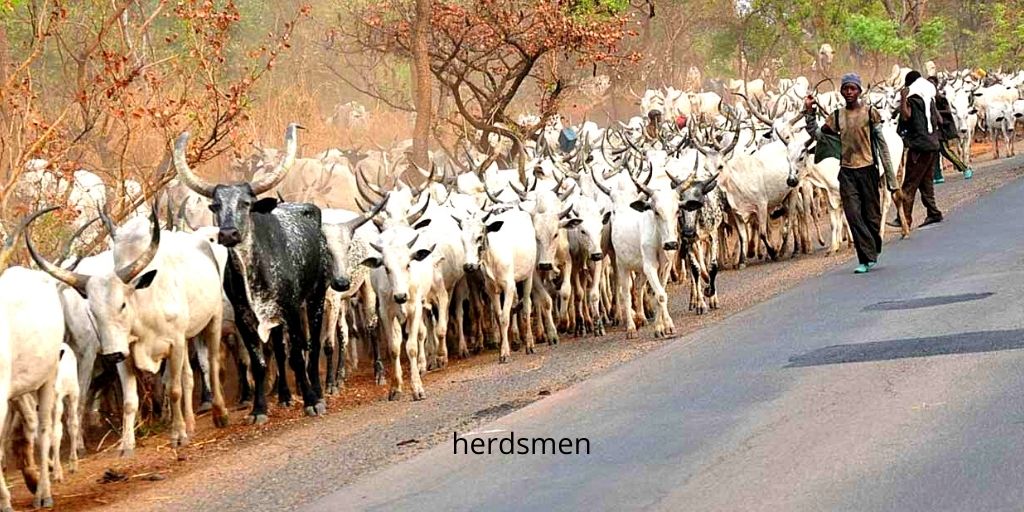 herdsmen Photo