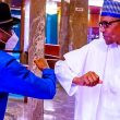 Former President Goodluck Jonatan and President Muhammadu Buhari Photo