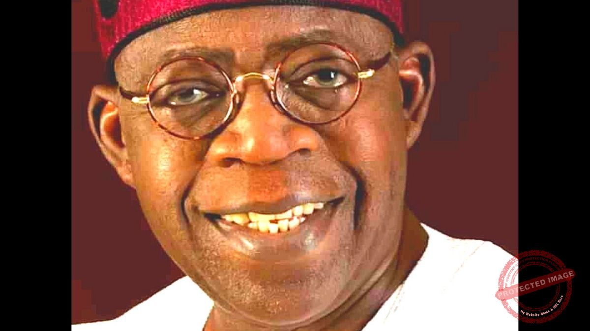 Bola Ahmed Tinubu, former Lagos Sate governor and national leader of the All Progressives Congress, APC. Photo