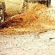 heavy rains photo