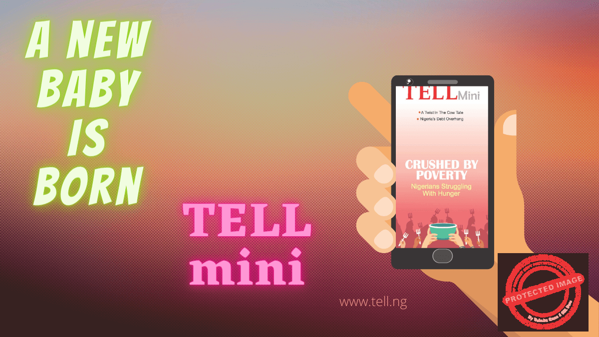 TELLMini Photo