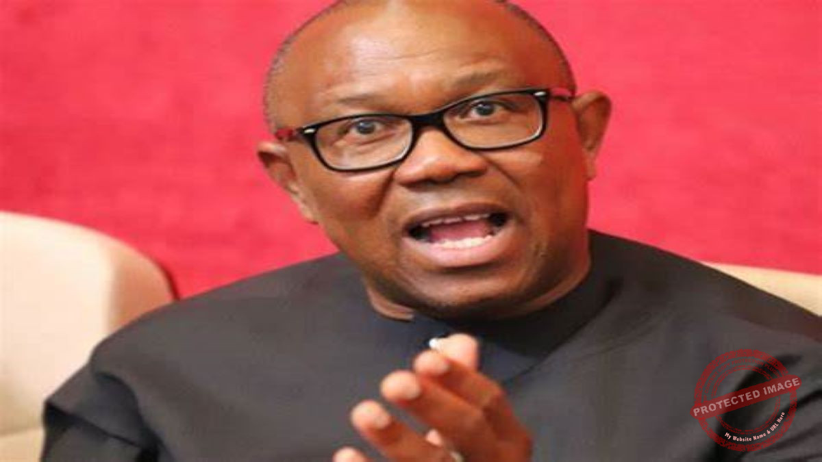 Peter Obi Photo
