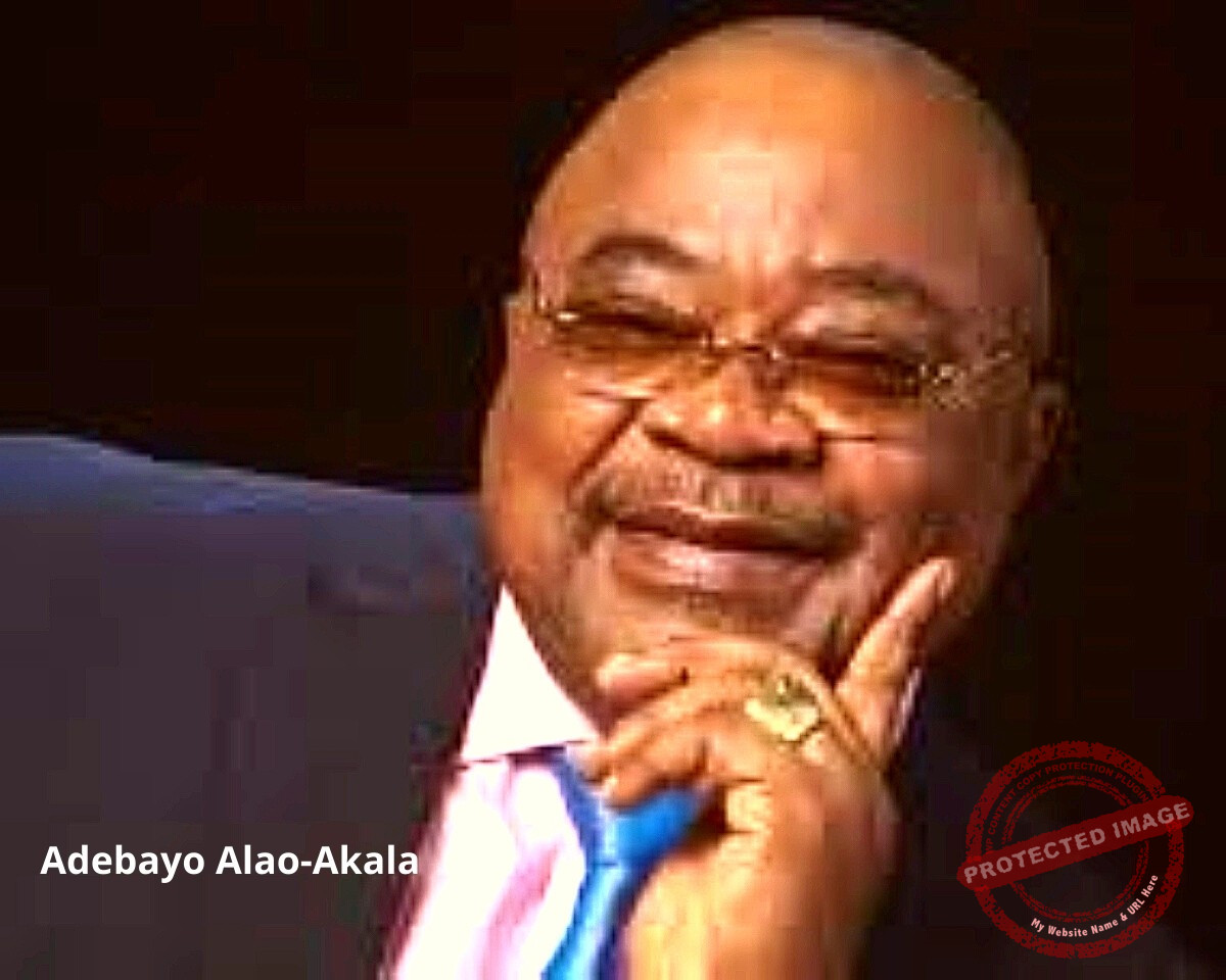 Adebayo Alao-Akala Photo