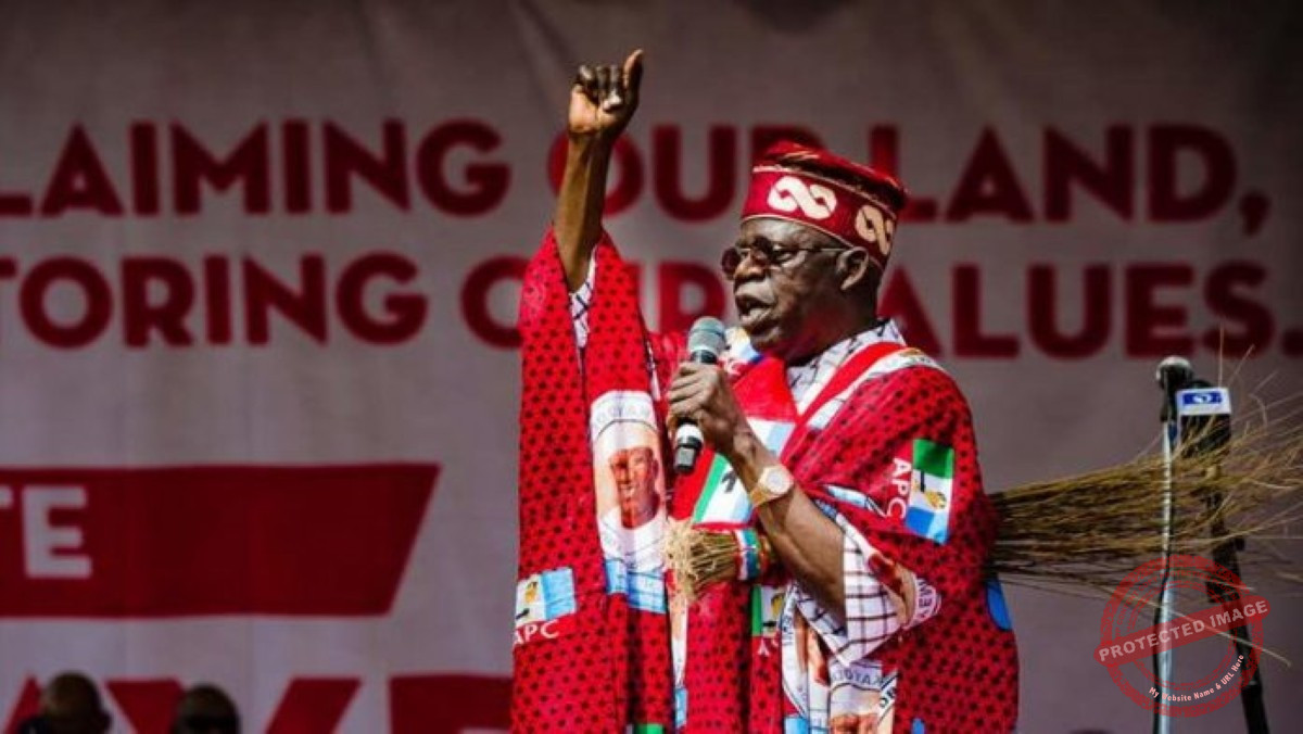 Bola Ahmed Tinubu Photo