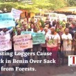 Protest by loggers in Edo Photo