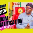 Seyi Makinde Photo