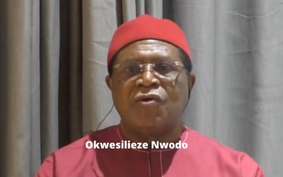 Southeast Presidency'll Bring Peace, Unity to Nigeria - Nwodo, Ex-PDP National Chairman
