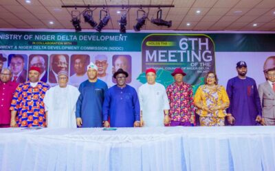 Niger Delta Council meeting