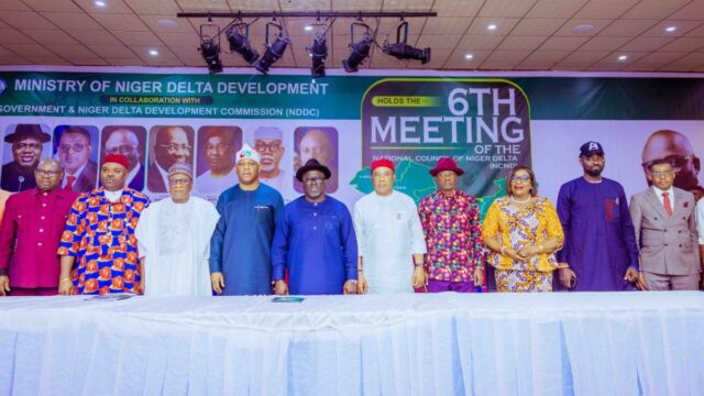Niger Delta Council meeting
