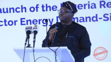 Minister of Power Adebayo Adelabu