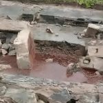 School Building Collapse