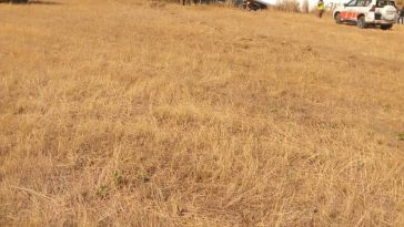 An Allied Air Cargo aircraft with registration number 5N-JRT, and with five individuals on board, on Wednesday crash-landed at the Nnamdi