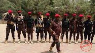 NUF Condemns Killing of Vigilantes in Anambra