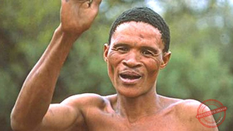 Africa and the Nixau Toma Syndrome