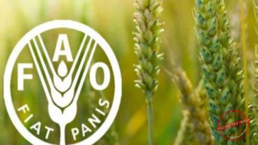 Global Food Crisis Warning: FAO Report Reveals Urgent Threats to Feeding 10 billion by 2050  