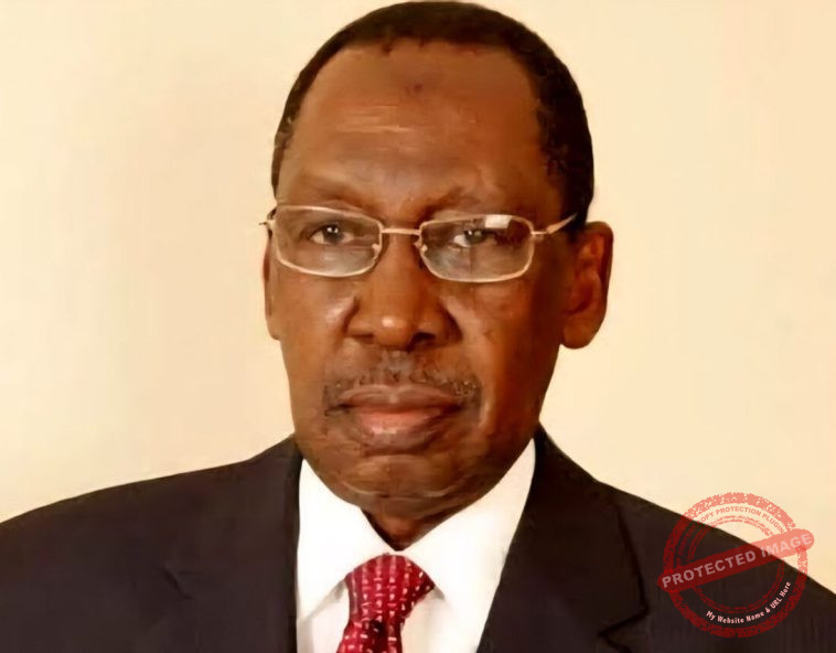 Justice Mohammed Lawal Uwais