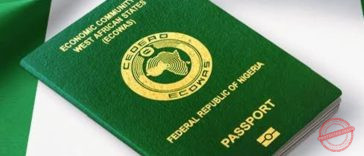 international passport