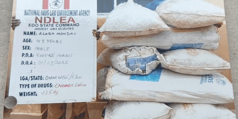 Edo FHC Sentence Wanted Drug Baron, 10 Others To 79 Years in Prison