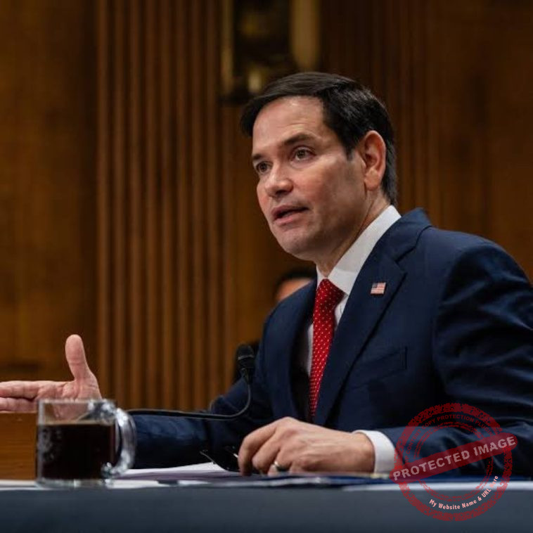 Senator Marco Rubio